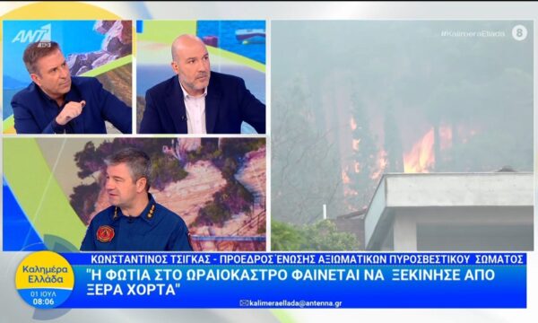 Κ. Τσίγκας: “Η φωτιά στο Ωραιόκαστρο φαίνεται να ξεκίνησε απο ξερά χόρτα” – Καλημέρα Ελλάδα – 01/07/2026