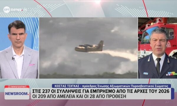 Κ. Τσίγκας στο ΕΡΤnews: «Οι περισσότερες πυρκαγιές φαίνεται να ξεκίνησαν από αμέλεια» – Οκτώ συλλήψεις