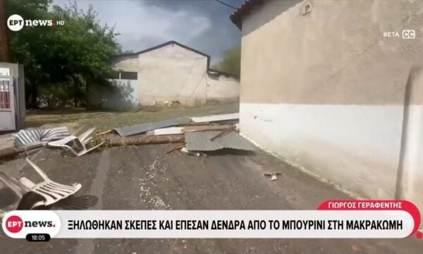 Κακοκαιρία: Ξηλώθηκαν σκεπές και έπεσαν δέντρα από το μπουρίνι στη Μακρακώμη – Χοντρό χαλάζι έπεσε στη Λαμία