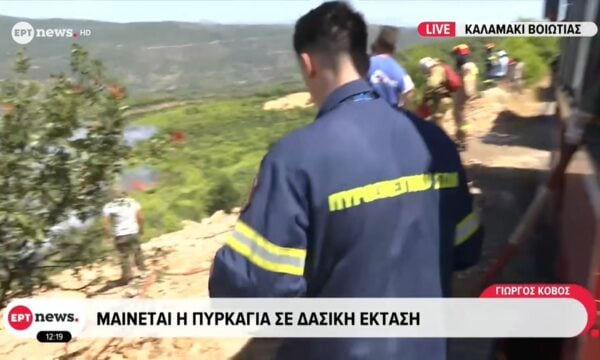 Καλαμάκι Βοιωτίας: Μαίνεται η πυρκαγιά σε δασική έκταση