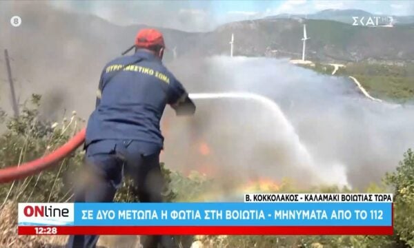 Καλαμάκι Βοιωτίας: Πυροσβέστες και εθελοντές προσπαθούν να σταματήσουν της φλόγες πριν τους οικισμούς