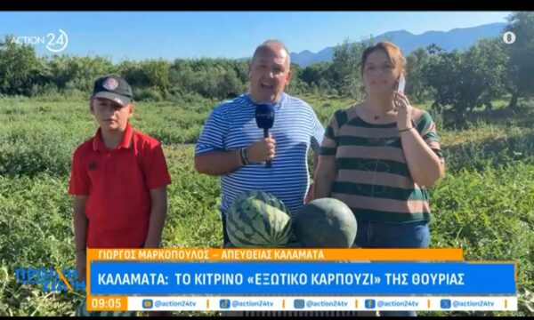 Καλαμάτα: Το κίτρινο “εξωτικό καρπούζι” της Θουρίας