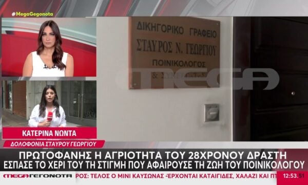 Κάμερες και δακτυλικά αποτυπώματα πρόδωσαν τον Αιγύπτιο που δολοφόνησε τον Στ. Γεωργίου