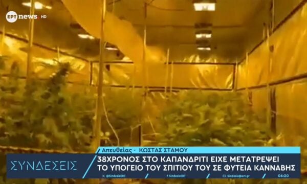 Καπανδρίτι: 38χρονος είχε μετατρέψει το υπόγειό του σε φυτεία κάνναβης