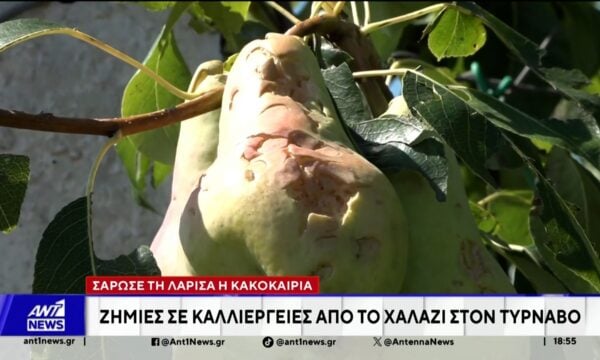Καταστροφές σε καλλιέργειες από το χαλάζι στον Τύρναβο