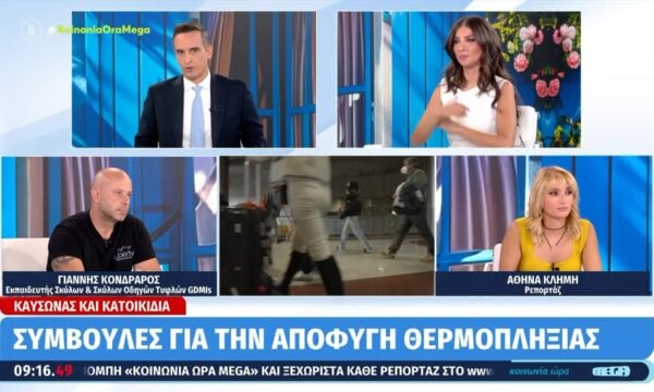 Καύσωνας και κατοικίδια: Συμφωνίες αποφυγής θερμοπληξίας
