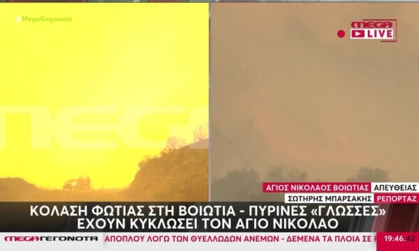 Κόλαση φωτιάς στη Βοιωτία – Πύρινες «γλώσσες» έχουν κυκλώσει τον Άγιο Νικόλαο