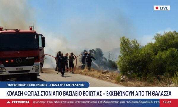 Κόλαση φωτιάς στη Βοιωτία. Τι μεταδίδει στα Γεγονότα του Star Κεντρικής Ελλάδας ο Θανάσης Μερτζάνης.