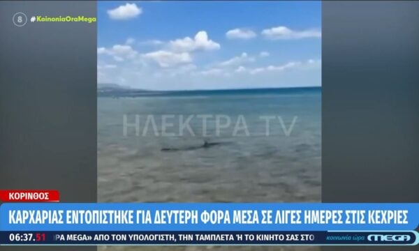 Κόρινθος: Καρχαρίας για δεύτερη φορά μέσα σε λίγες ημέρες στις Κεχριές