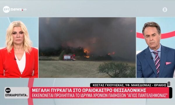 Κώστας Γκιουλέκας, υφυπ. Μακεδονίας – Θράκης: «Έχουμε δυνατό άνεμο στο Ωραιόκαστρο»