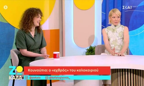 Κουνούπια: O “εχθρός” του καλοκαιριού