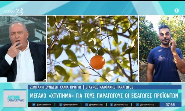 Κρήτη: Μεγάλο «χτύπημα» για τους παραγωγούς οι εισαγωγές προϊόντων