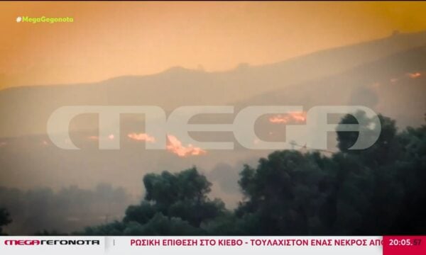 Κρήτη: Πύρινος εφιάλτης στο Ρέθυμνο – Δραματικές διασώσεις από ξηρά και θάλασσα