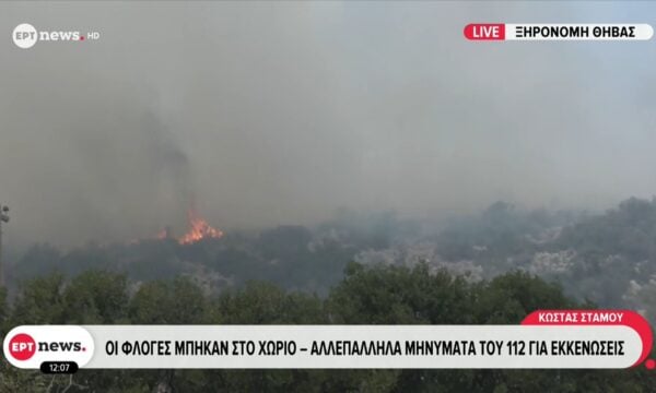 Ξηρονομή Θήβας: Οι φλόγες μπήκαν στο χωριό – Αλλεπάλληλα μηνύματα του 112 για εκκενώσεις