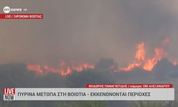 Ξηρονομή Βοιωτίας: Εντελώς ανεξέλεγκτη η φωτιά