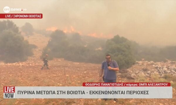 Ξηρονομή Βοιωτίας: Σε δασική και θαμνώδη έκταση η φωτιά