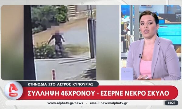Κτηνωδία στο Άστρος Κυνουρίας: 46χρονος έσερνε νεκρό σκύλο