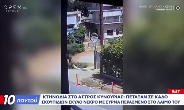 Κτηνωδία στο Άστρος Κυνουρίας: Πέταξαν νεκρό σκύλο με σύρμα στον λαιμό σε κάδο σκουπιδιών