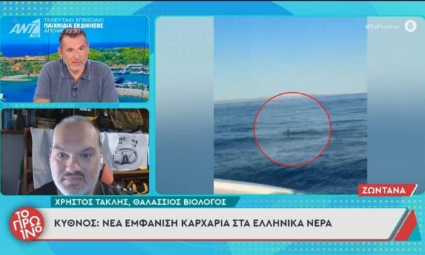Κύθνος: Νέα εμφάνιση καρχαρία στα ελληνικά νερά – Το Πρωινό – 01/07/2026