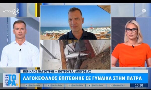 Λαγοκέφαλος επιτέθηκε σε γυναίκα στην Πάτρα