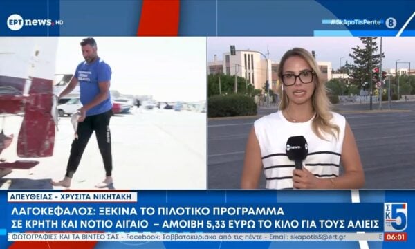 Λαγοκέφαλος: Ξεκινά το πιλοτικό πρόγραμμα σε Κρήτη και Νότιο Αιγαίο