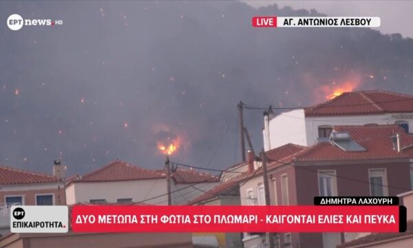 Λέσβος: Φωτιά στο Πλωμάρι – Πνέουν ισχυροί άνεμοι