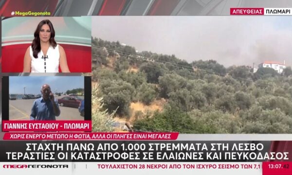 Λέσβος: Κάηκαν πάνω από 1000 στρέμματα στην περιοχή Πλωμάρι – Δεν υπήρχαν ανοικτοί δρόμοι για τη διέλευση πυροσβεστικών οχημάτων