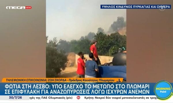 Λέσβος: Υπό έλεγχο το πύρινο μέτωπο στο Πλωμάρι – Σε επιφυλακή το Πυρισβεστικό Σώμα για αναζωπυρώσεις