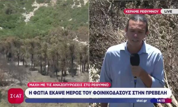 Μάχη με τις αναζωπυρώσεις στο Ρέθυμνο: Η Φωτιά έκαψε μέρος του φοινικόδασους στην Πρέβελη