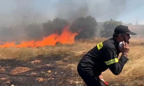 Μαίνεται ανεξέλεγκτο το πύρινο μέτωπο στη Βοιωτία: Πυροσβέστες επιχειρούν φτιάχνοντας αντιπυρικές ζώνες