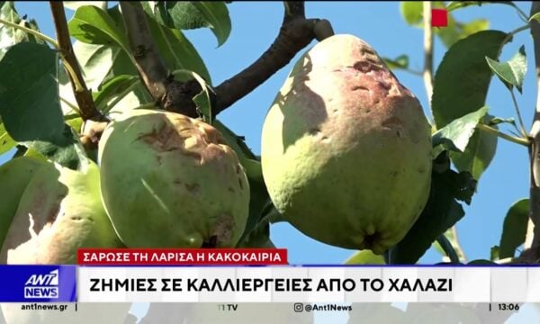 Με σφοδρότητα “χτύπησε” η κακοκαιρία και τη Λάρισα