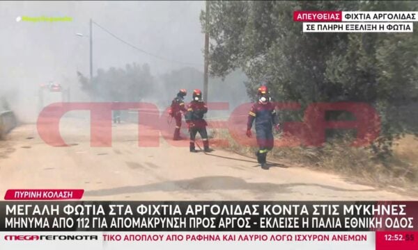 Μεγάλη φωτιά στα Φίχτια Αργολίδας κοντά στις Μυκήνες – Μήνυμα 112 για απομάκρυνση προς το Άργος