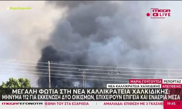 Μεγάλη φωτιά στη Νέα Καλλικράτεια Χαλκιδικής