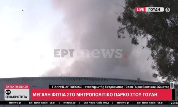 Μεγάλη φωτιά στο Μητροπολιτικό Πάρκο Γουδή – O αναπληρωτής εκπρόσωπος Τύπου του Πυροσβεστικού Σώματος στο ΕΡΤnews