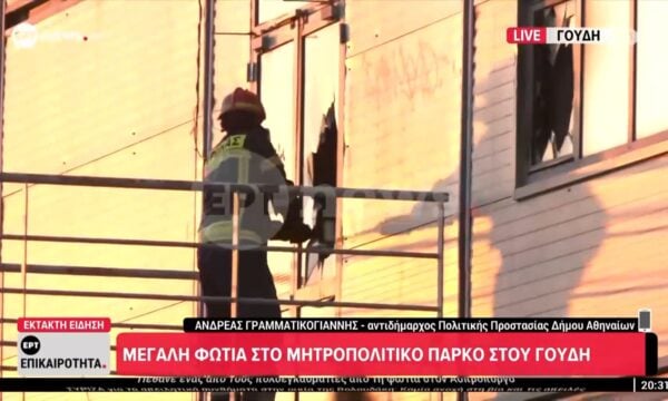 Μεγάλη φωτιά στο Μητροπολιτικό Πάρκο Γουδή – Ο αντιδ. Πολιτικής Προστασίας του Δήμου Αθηναίων στο ΕΡΤnews