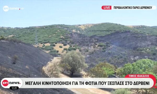 Μεγάλη κινητοποίηση για τη φωτιά που ξέσπασε στο Δερβένι