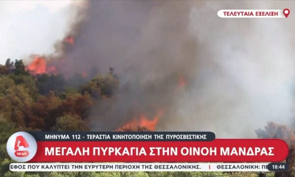 Μεγάλη πυρκαγιά στην Οινόη Μάνδρας