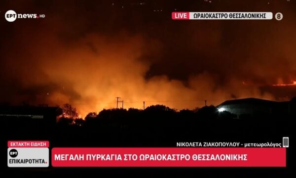Μεγάλη πυρκαγιά στο Ωραιόκαστρο Θεσσαλονίκης – Νικολέτα Ζιακοπούλου, μετεωρολόγος