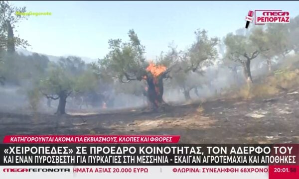 Μεσσηνία: Χειροπέδες σε πρόεδρο κοινότητας, τον αδερφό του και έναν πυροσβέστη για πυρκαγιές