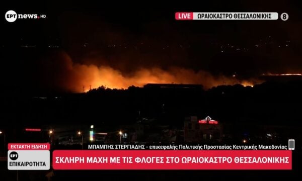 Μπάμπης Στεργιάδης – επικεφαλής Πολιτικής Προστασίας Κεντρικής Μακεδονίας – Σκληρή μάχη με τις φλόγες στο Ωραιόκαστρο