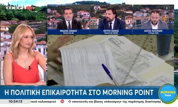 Ν. Παππάς: «Ακούγεται δύσκολο αλλά κατεβαίνουμε να κερδίσουμε τις εκλογές»