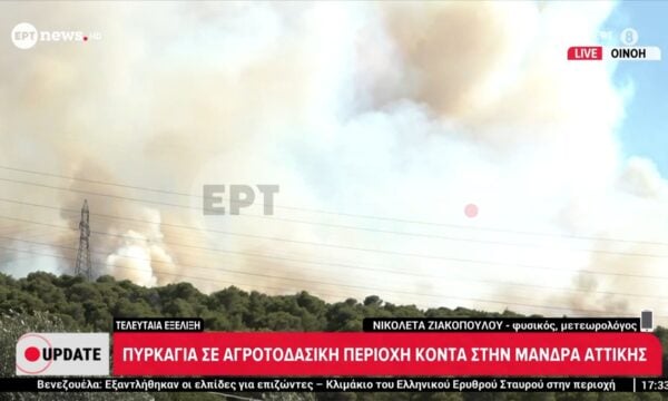 Ν. Ζιακοπούλου, μετεωρολόγος: Οι διαφορές της πυρκαγιάς στην Οινόη με το Ωραιόκαστρο