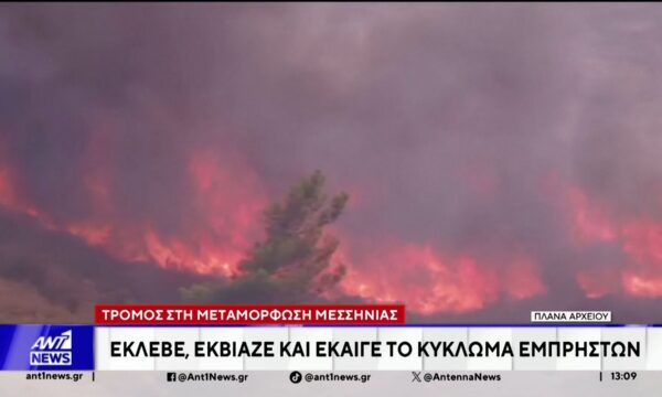Νέα στοιχεία και μαρτυρίες  για την δράση του κυκλώματος στη Μεσσηνία, φέρνει στο φώς ο ΑΝΤ1