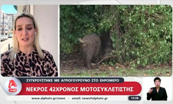 Νεκρός 42χρονος μοτοσυκλετιστής – Συγκρούστηκε με αγριογούρουνο