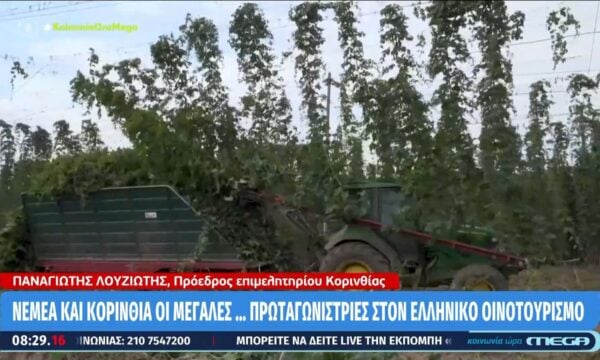 Νεμέα και Κορινθία οι μεγάλες… πρωταγωνίστριες στον ελληνικό οινοτουρισμό