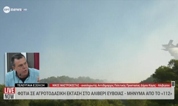 Ο αναπληρωτής Αντιδήμαρχος Πολιτικής Προστασίας Δήμου Κύμης – Αλιβερίου Νίκος Μαστροκώστας στο ΕΡΤnews