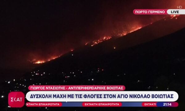 Ο Αντιπεριφερειάρχης Βοιωτίας μιλά για την δύσκολη μάχη με τις φλόγες στον Άγιο Νικόλαο