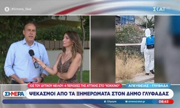 Ο Δήμαρχος Γλυφάδας στο ”Σήμερα” για τους ψεκασμούς κατά του ιού του Δυτικού Νείλου