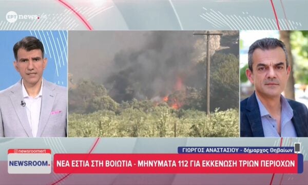 Ο δήμαρχος Θηβαίων Γιώργος Αναστασίου στο ΕΡΤnews για τη νέα εστία στη Βοιωτία
