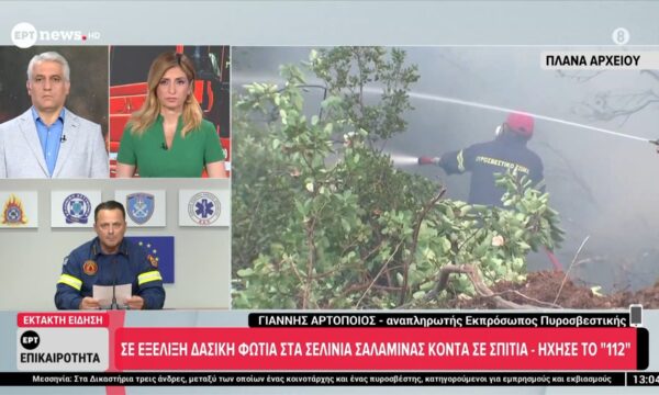 Ο Γιάννης Αρτοποιός για τη φωτιά στη Σαλαμίνα στο ERTnews